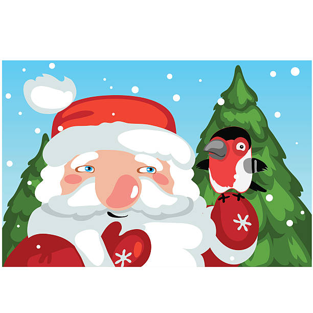 ilustrações, clipart, desenhos animados e ícones de papai noel com pássaro e natal no fundo - frame smiling white background human hand