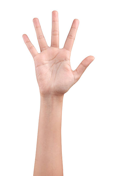 mujer mostrando los cinco dedos de la mano - brazo humano fotografías e imágenes de stock