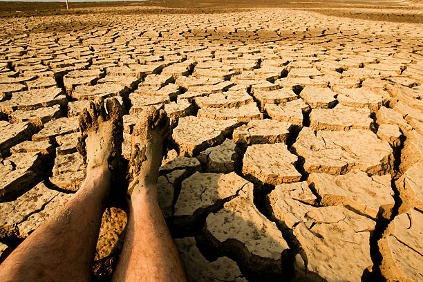 land texture feet dirty stock photo