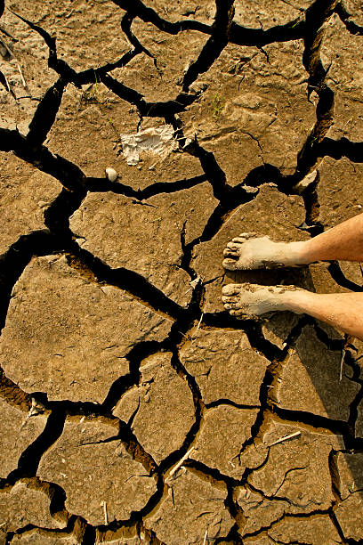 land texture feet dirty stock photo