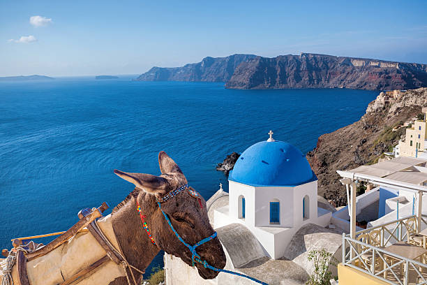 istock Santorini island with donkey in Greece 583979958