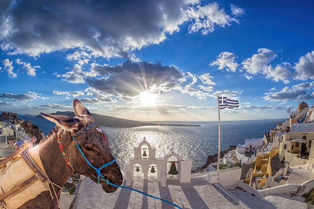 istock Santorini island with donkey in Greece 583980088