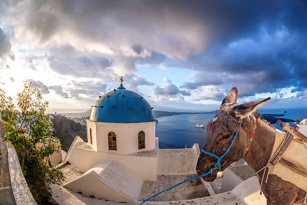 istock Santorini island with donkey in Greece 583980174