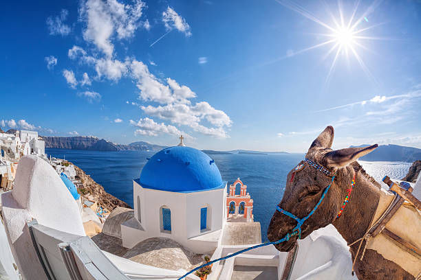 istock Santorini island with donkey in Greece 583980226