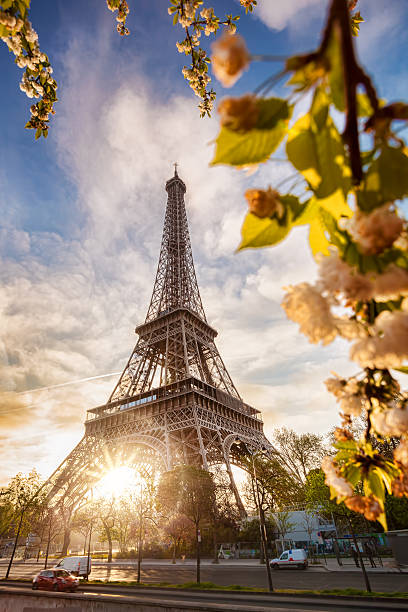 istock Eiffel Tower with spring tree in Paris, France 583981144