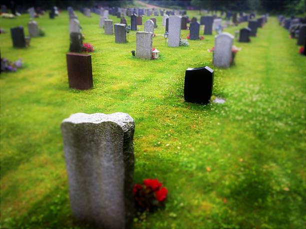 istock Cemetery in colors 583981626
