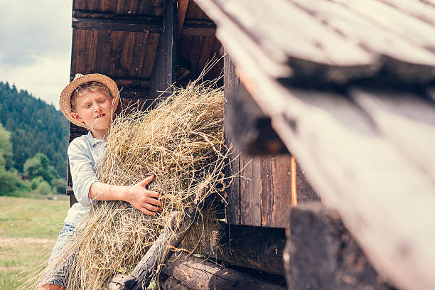istock Boy puts the hay in hayloft 583983358