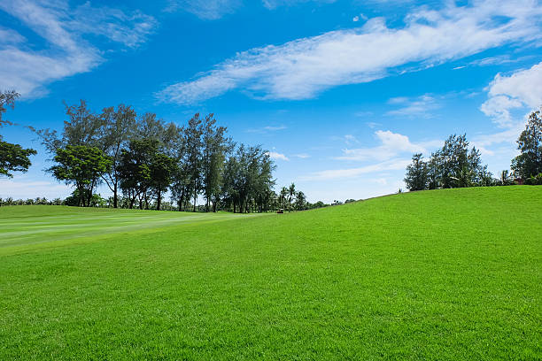 istock Land Scape Wide green lawns 583983614