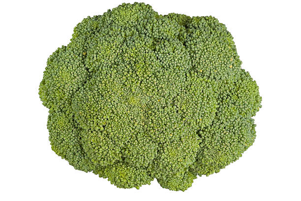 istock Bunch of organic broccoli top view 583985360