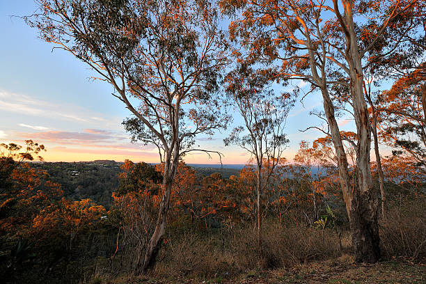 istock Toowoomba Forest Park in sunset 583985914