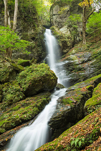 istock Deep in the mountains of the waterfall 583991614