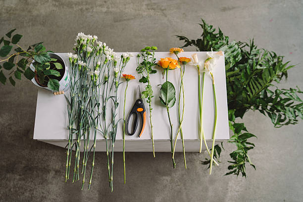 istock Flowers, greenery and secateurs on white wooden table 583992642