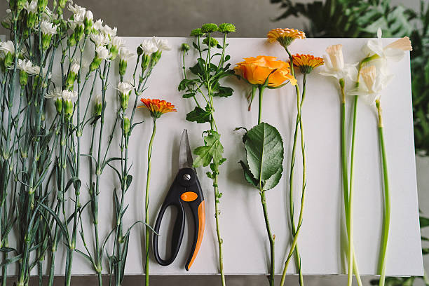 istock Flowers, greenery and secateurs on white wooden table. 583992706