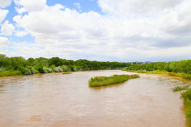 istock Island in the Rio Grande 583994532