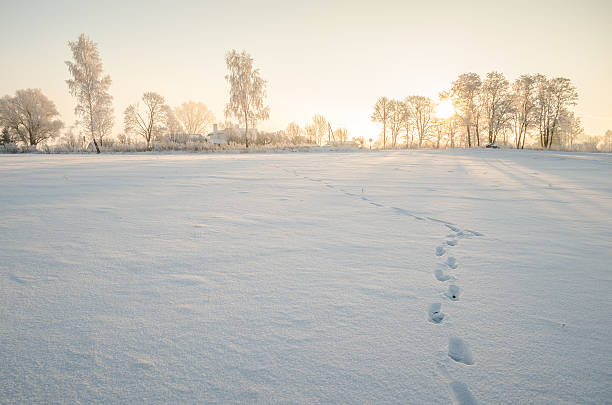 istock human traces to the beautiful forest 583997046
