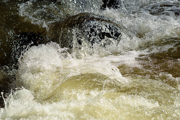 Mountain river in the spring stock photo