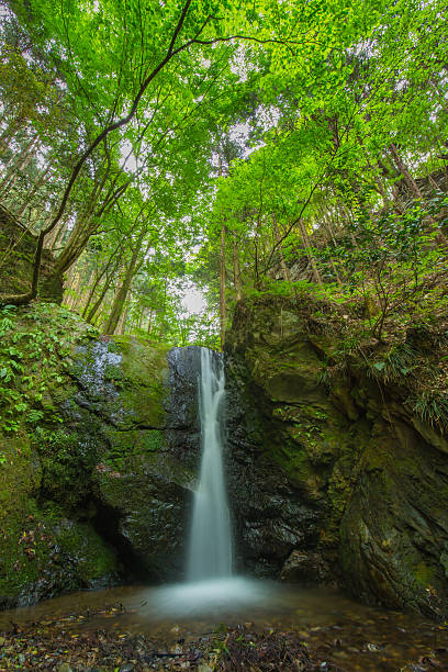 istock Deep in the mountains of the waterfall 583998544