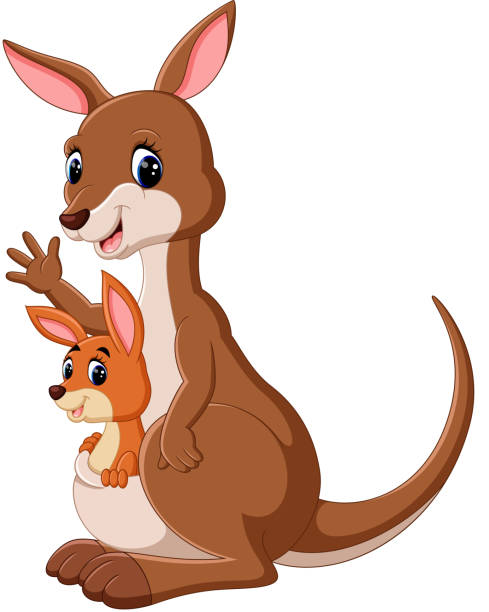 kreskówka kangura - kangaroo cute facial mask mammal stock illustrations