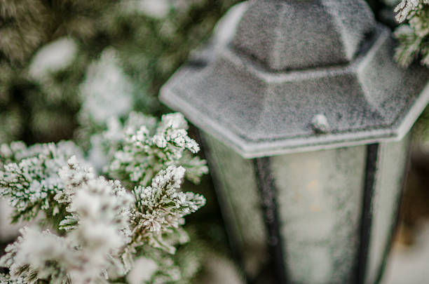 Snow over the street light