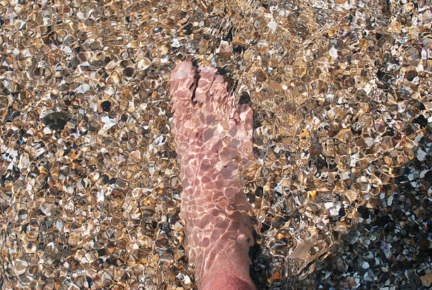 bein im klaren wasser - human foot wading sea human toe stock-fotos und bilder