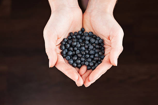 istock woman with handful billberies on dark background 584003380