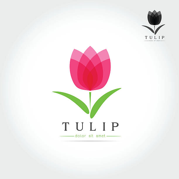 illustrazioni stock, clip art, cartoni animati e icone di tendenza di semplice bocciolo di tulipano con design delle foglie - bud flower tulip flowers