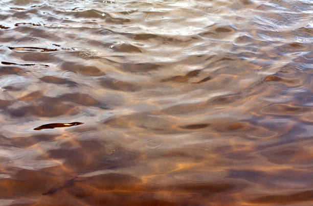 istock Abstract water in the lake surface. 584005284