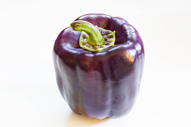 Purple organic pepper