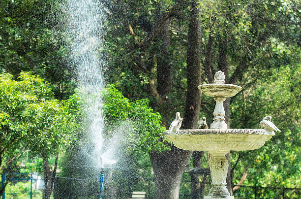 istock Water sprinkler system working in garden. 584204726