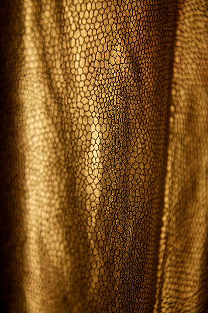 istock gold skin animal alien dinosaur reptile monster pattern surface leather 584204886