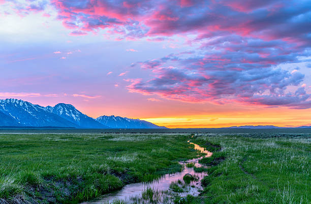 Sunset Mountain Meadow Colorful spring sunset at a green mountain field with a winding stream near Mormon Row historic district in Grand Teton National Park, Wyoming, USA. mountain famous place livestock herd stock pictures, royalty-free photos & images