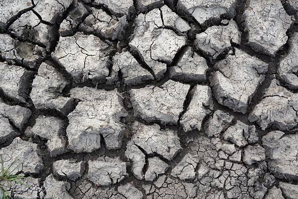 istock Close Up of Dry, Cracked Soil 584206942