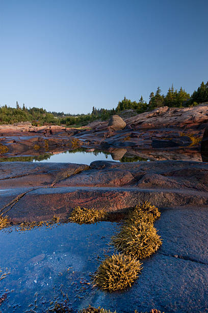 istock Spectacular marine landscape 584207784