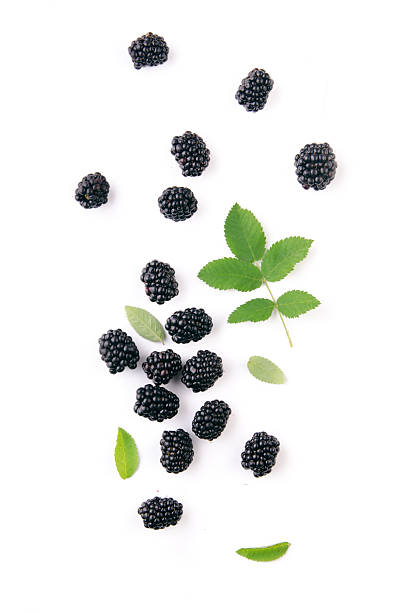 istock BlackBerry isolated on white. Top view. 584208016