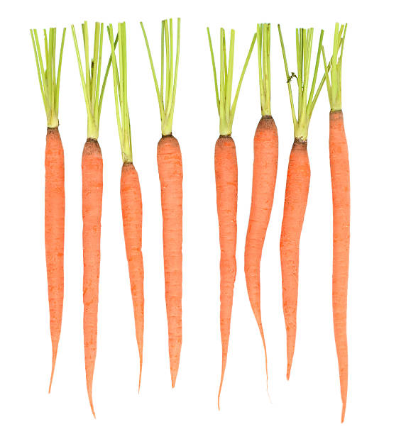 istock fresh carrots isolated on white background 584208250