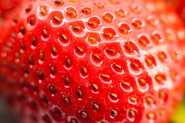 istock Fresh ripe perfect strawberry 584209866