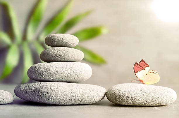 istock Stones balance and palm on grey background. 584211002