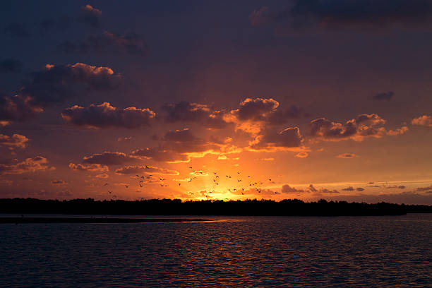 istock Amazing sunset at Rio Lagartos, Yucatan, Mexico. 584211020