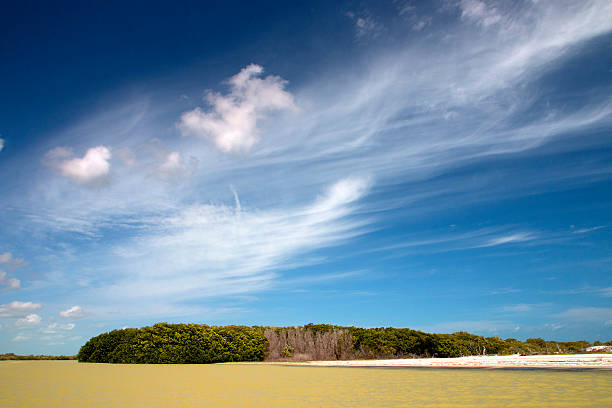 Beautiful landscape of Rio Lagartos biosphere reserve in Yucatan, Mexico. stock photo