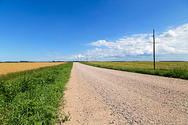 istock Rural Country Road in Summer 584216154