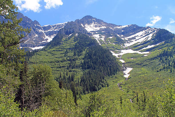 istock Lush Green Mountainside with Snowy Peaks in the background 584216376