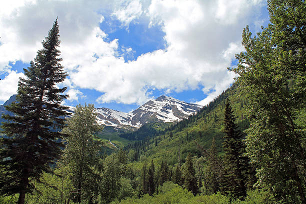 istock Lush Green Mountainside with Snowy Peaks in the background 584216438