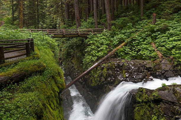 istock Sol Duc Falls AKA Soleduck Bridge Olympic National Park Washington 584216980