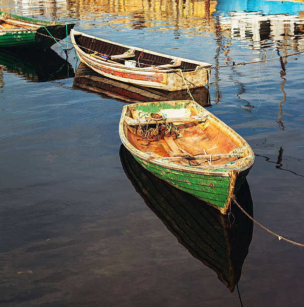 the French Mediterranean coast on wild Camargue