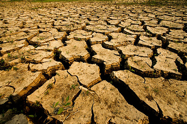 dry land texture background stock photo