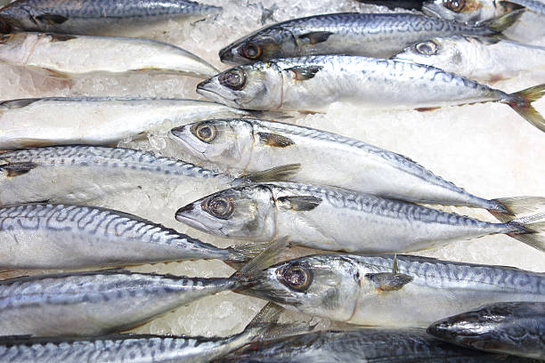 istock Saba fish on ice in market 584222768