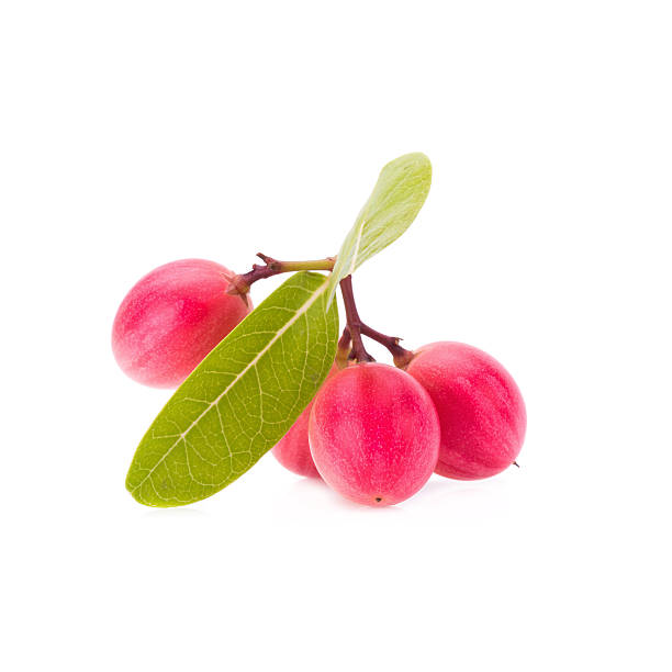 istock Carunda or Karonda on white background 584225056