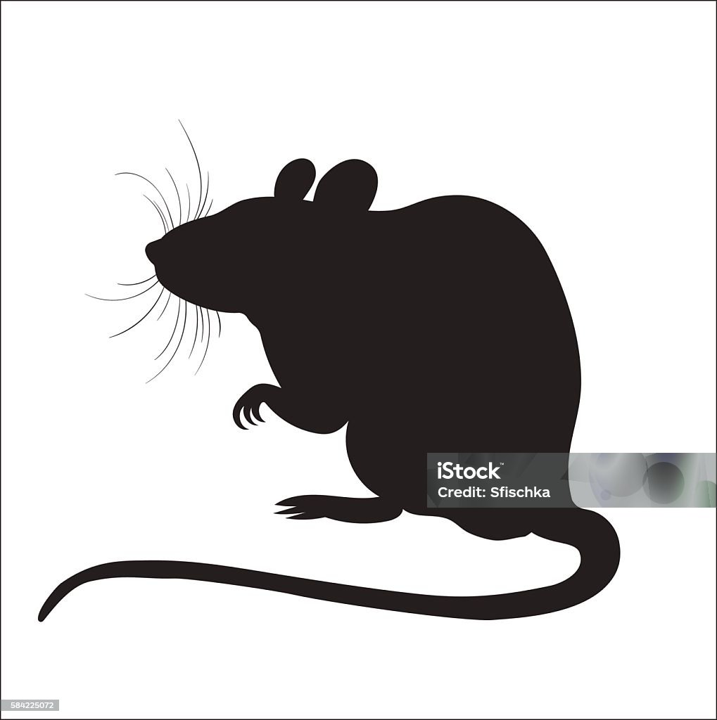 Hình Ảnh Bóng Của Một Con Chuột Hình minh họa Sẵn có - Tải xuống ...
