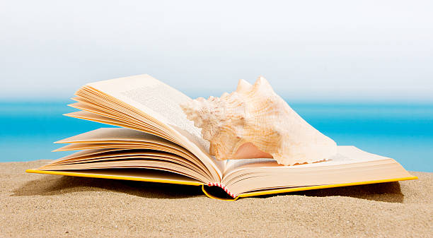 istock Book on the sand, relax on the beach 584226846