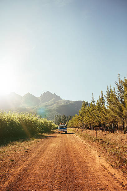 istock Distant car approaching on a rural dirt road 584229290